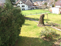 Wohnimmobilie Kauf Mehrfamilienhaus