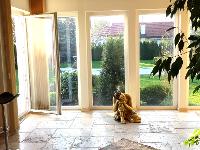 Wohnimmobilie Kauf Einfamilienhaus Haus mit Garten