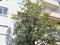 Wohnimmobilie Kauf Etagenwohnung 4-Zimmer Terrassenwohnung