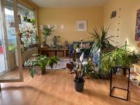 Wohnimmobilie Kauf Etagenwohnung Hervorragend geschnittene helle Wohnung mit West-Loggia - solide vermietet