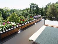 Wohnimmobilie Kauf Etagenwohnung Freundliche 3-Zimmer-Wohnung mit Bergblick