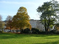 Wohnimmobilie Kauf Mehrfamilienhaus